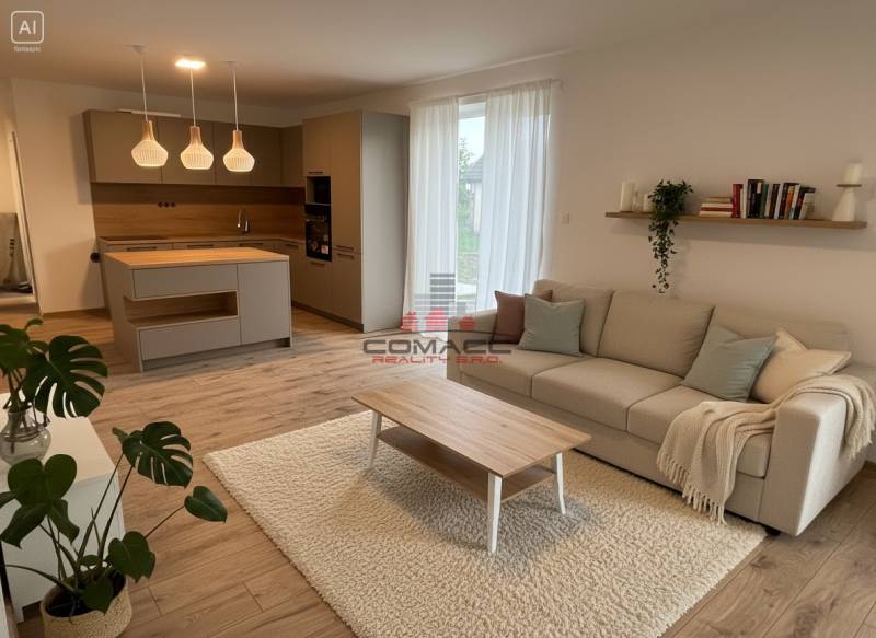 IMG_0450 (1)_o_v3.1.jpg