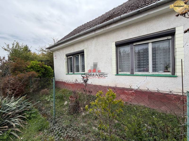 Bazoš 2 iz Krakovany nový 10.jpg