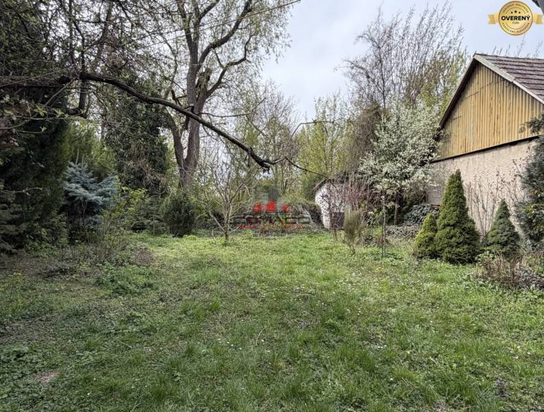 Bazoš 2 iz Krakovany nový 3.jpg