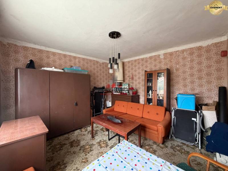 Bazoš 2 iz Krakovany nový 9.jpg