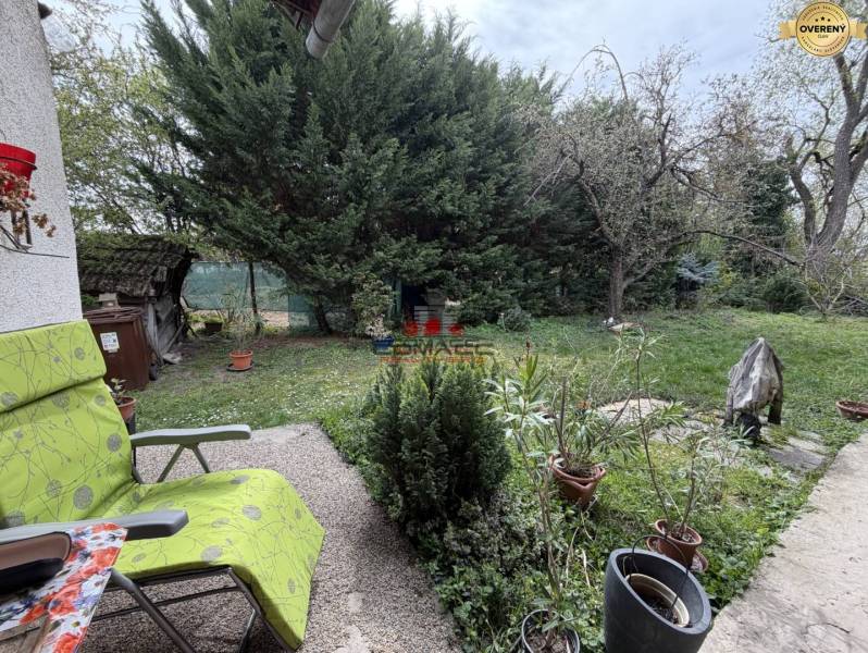 Bazoš 2 iz Krakovany nový 1.jpg