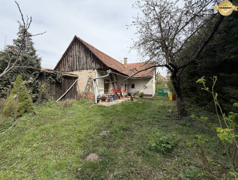 Bazoš 2 iz Krakovany nový 5.jpg