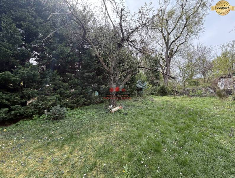 Bazoš 2 iz Krakovany nový 4.jpg