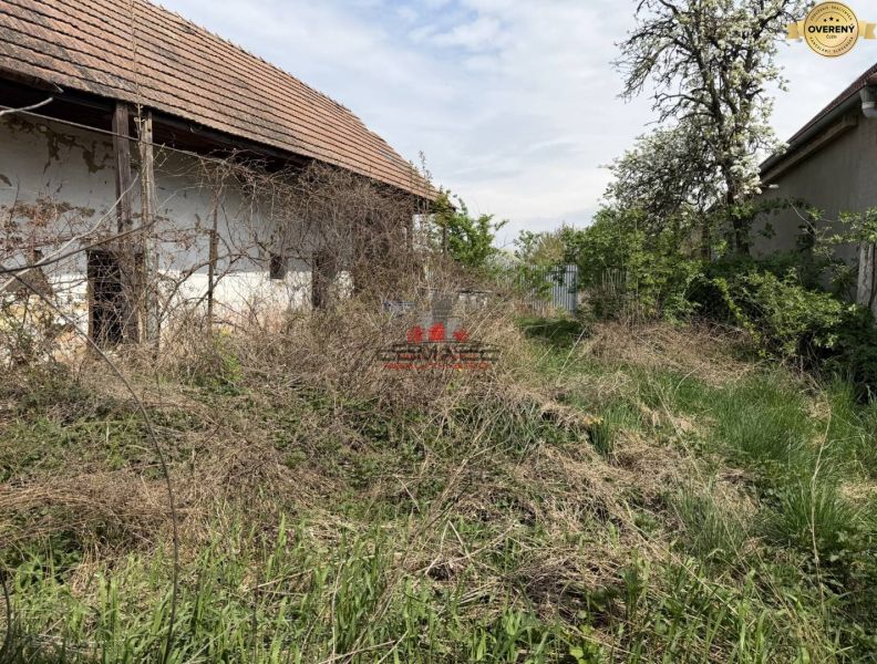 Bazoš RD K1 9.jpg