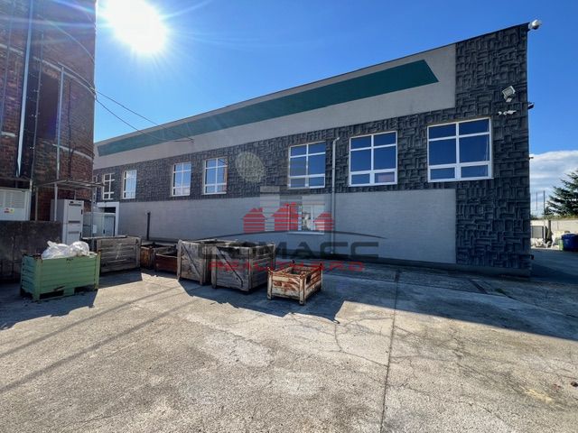 IMG_4292.JPG