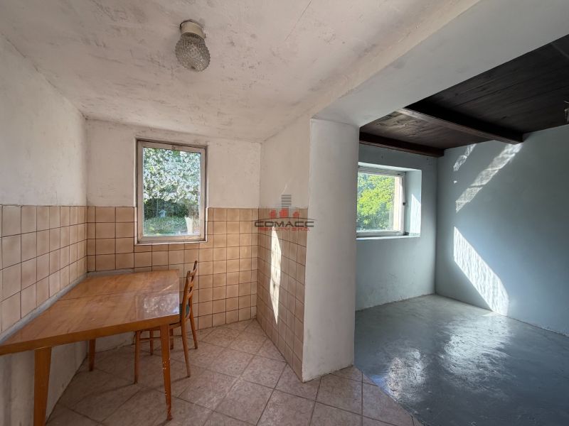 IMG_3804.JPG