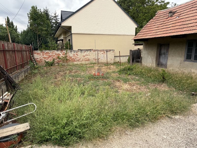IMG_4855.JPG